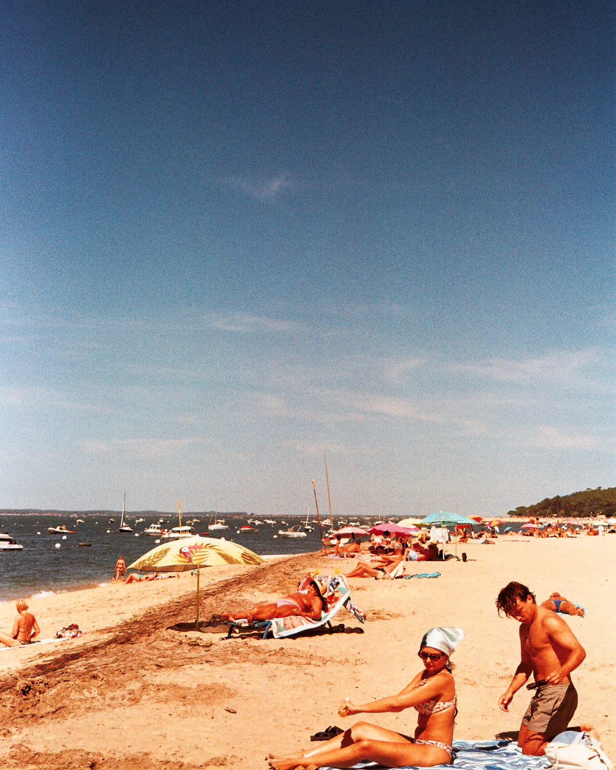 LE GUIDE SOCOOL DU BASSIN D'ARCACHON