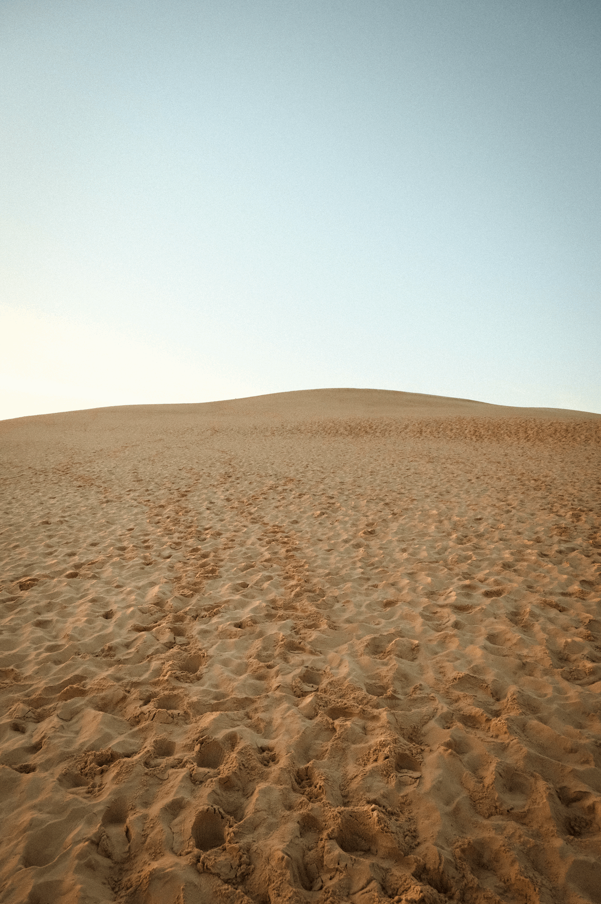 Dune n°2