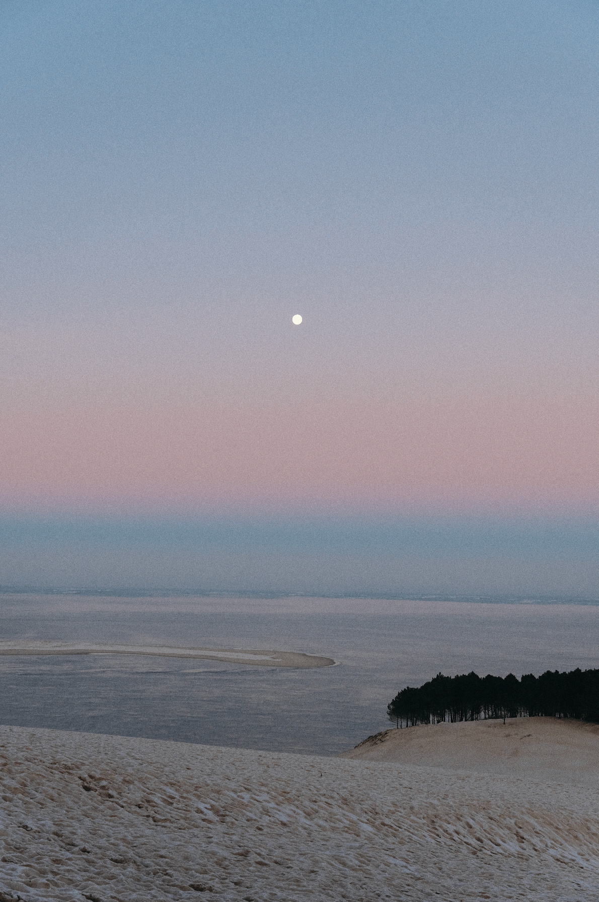 Moon