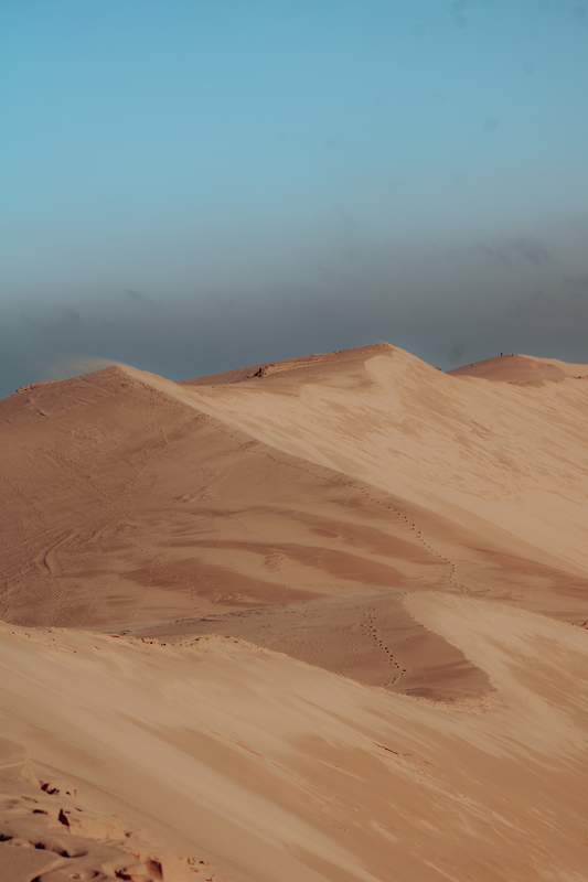 Dune n°2