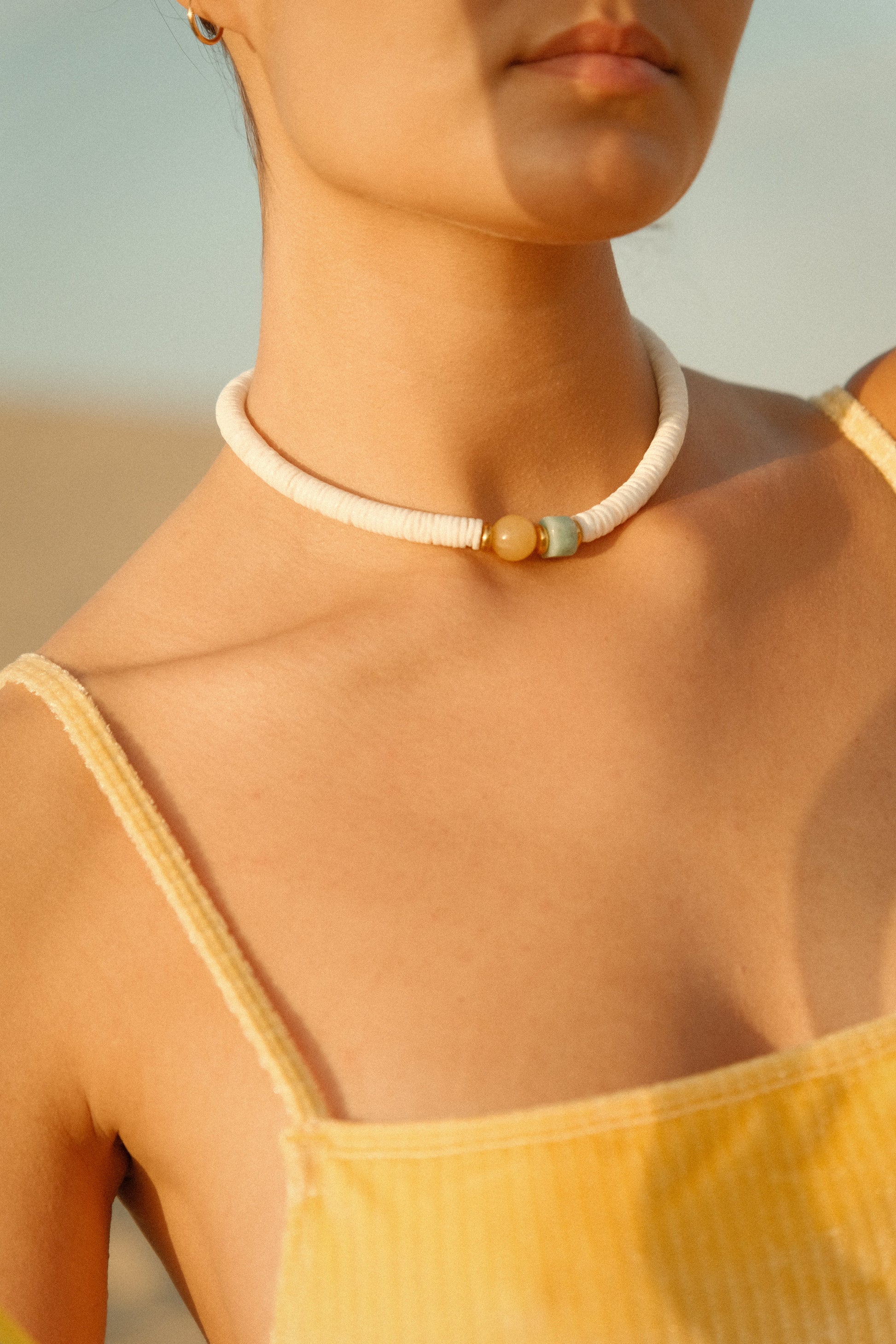 Collier Palm Springs Socool Pyla