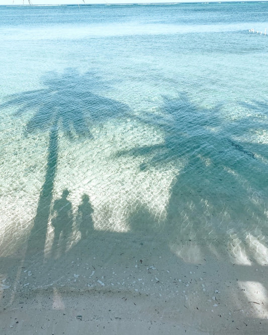 À l'ombre des tropiques Socool Pyla